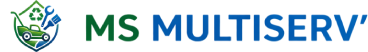 MS Multiserv'